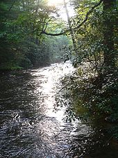 The North Mills River in North Carolina North Carolina River.jpg