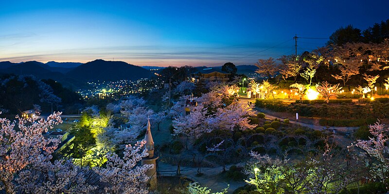 File:Onomichi city at night during Hanami (Sakura blooming season). Hiroshima Prefecture. Japan.jpg