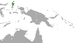 Distribución del cuscús de las Molucas
