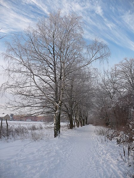 File:Osdorfer Straße an einem Wintermorgen - panoramio.jpg