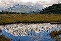 尾瀬ヶ原の池塘と燧ヶ岳