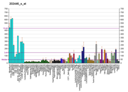 PBB GE PLSCR1 202446 s di fs.png