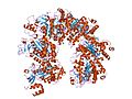 Миниатюра для Файл:PDB 1pvo EBI.jpg