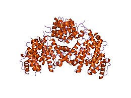 PDB 1pxy EBI.jpg