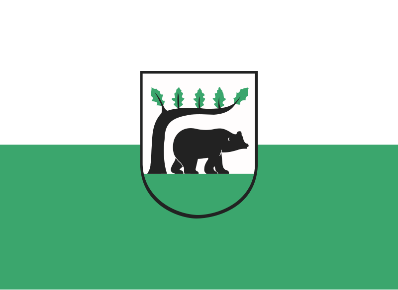 File:POL Kościerzyna flag.svg