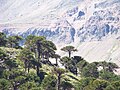 Miniatura para Sierra de Cochicó