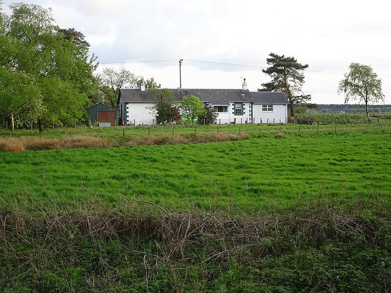 File:Palnure railway station (site), Dumfries & Galloway (geograph 6162293).jpg