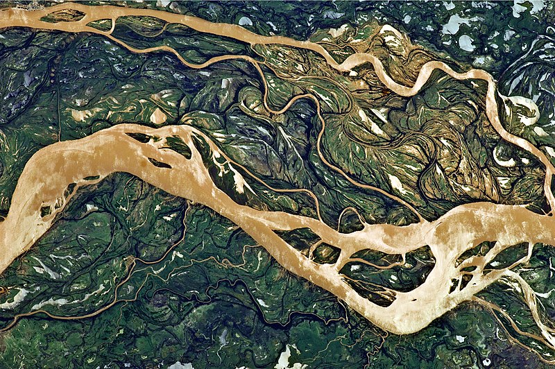 File:Paraná River Floodplain, Northern Argentina.jpg