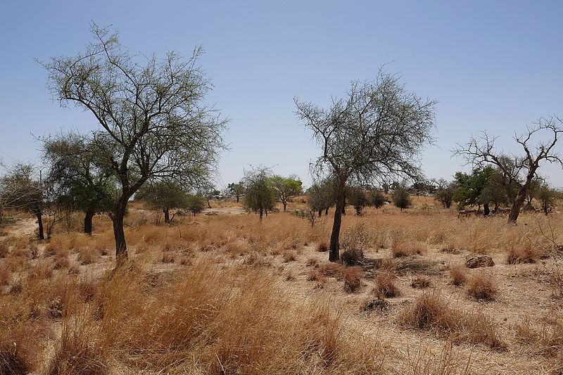 File:Paysage près de Zorgho-Burkina Faso (1).jpg