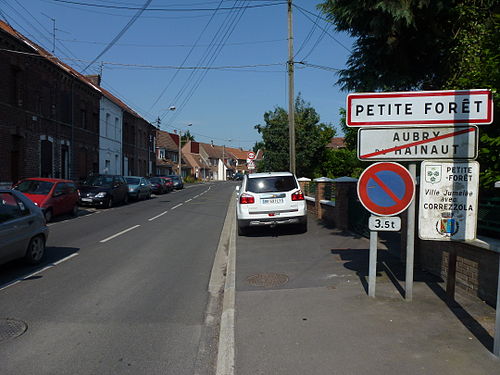 Ouverture de porte Petite-Forêt (59494)