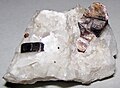 Phlogopite mica in marble (Franklin Marble, Mesoproterozoic, 1.03-1.08 Ga; Franklin, New Jersey, USA) 2.jpg