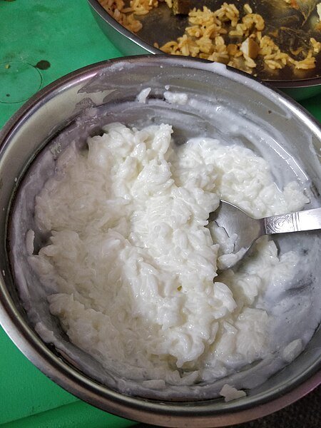 File:Plain Curd Rice.jpg