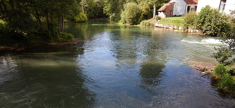 File:Plan d'eau en aval de la chute du moulin de Douriez Authie aout 2017a.jpg