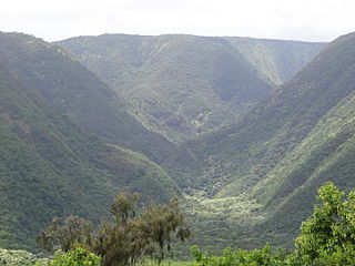 <span class="mw-page-title-main">Pololū Valley</span>