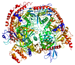 Протеин EXOSC3 PDB 2nn6.png