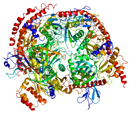 Protein EXOSC3 PDB 2nn6.png