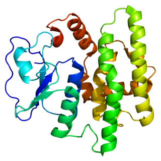 <span class="mw-page-title-main">GSTO1</span> Mammalian protein found in Homo sapiens