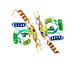 Protein PSMD7 PDB 2O95.png