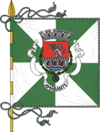 Bandera de Amarante