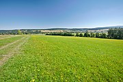 Čeština: Ptačí oblast Orlické Záhoří, okres Rychnov nad Kněžnou