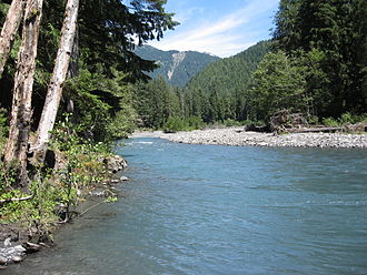Queets River Queets river.jpg