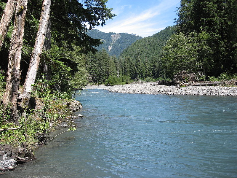 File:Queets river.jpg