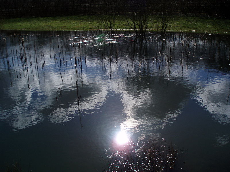 File:ReflectionsMarch.JPG