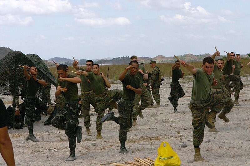 File:Republic of the Philippines Marines and U.S. Marines (4434698857).jpg