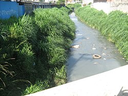 Rio cabuçu.jpg