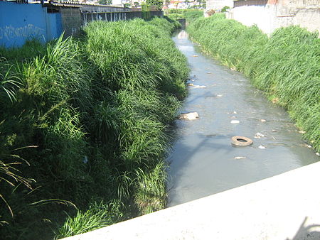 Rio cabuçu