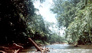 Rijeka Río Plátano na sjeveroistoku zemlje dio je od strane UNESCO-a zaštićenog rezervata biosfere