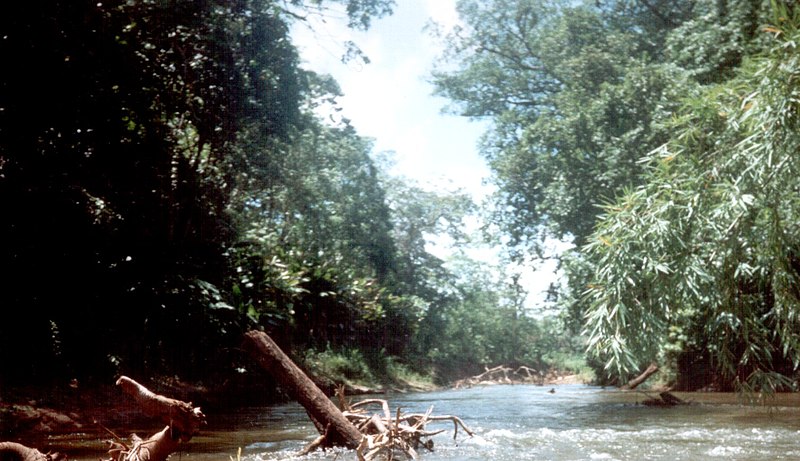 File:Rio platano.jpg