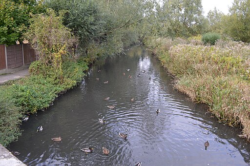 River Ivel in Stotfold 2