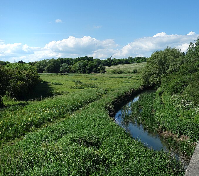 File:River Wey at Radipole - geograph.org.uk - 5797519.jpg