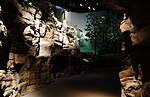 Thumbnail for File:Rocky passage - Fernbank Museum of Natural History - DSC00146.JPG