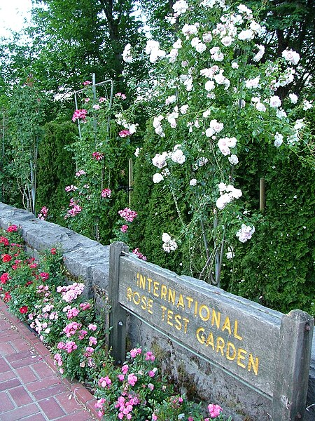 File:Rose Test Garden Sign.JPG