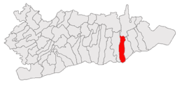 Roseți - Carte