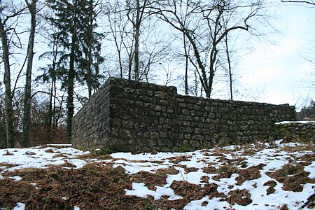 Ruine Böbikon 2012 12 16 17.31.13