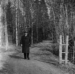 Säveltäjä lähdössä kävelylle keväisenä päivänä valkovuokkojen kukkiessa. Jean Sibelius, 1940-1945, (D2005 167 6 90) Suomen valokuvataiteen museo.jpg