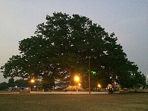 San Francisco, Petén.jpg