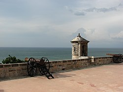 A Honra de Estrela de Leopardo, Wiki Gatos Guerreiros