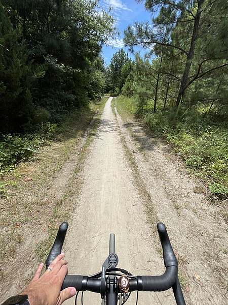 File:Sandy trail on a Gravel Bike.jpg