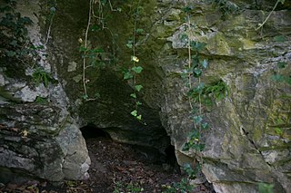 Silt cave 2784 17 001.jpg