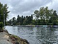 Montlake Cut