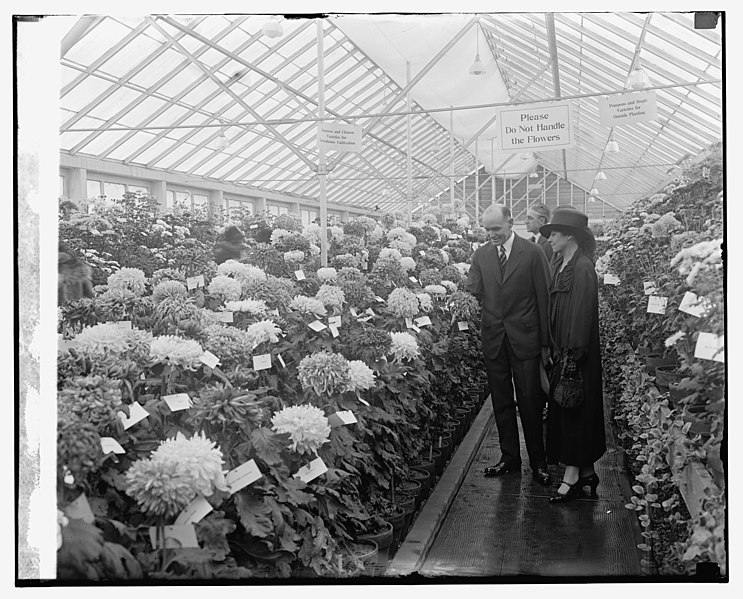 File:Sec. Jardine & Mrs. Coolidge at Chrysanthemum show, 11-5-25 LCCN2016841270.jpg