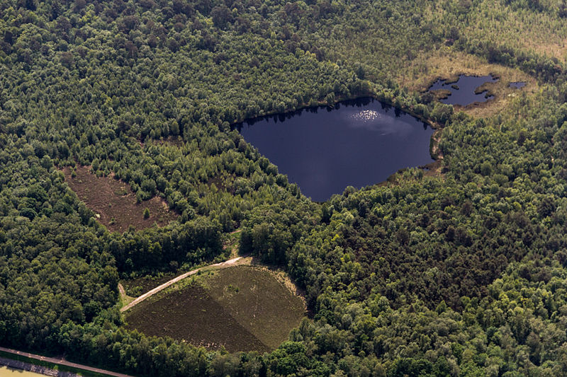 File:Senden, Venner Moor -- 2014 -- 8194.jpg