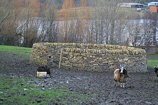 Pen (enclosure) enclosure for holding livestock