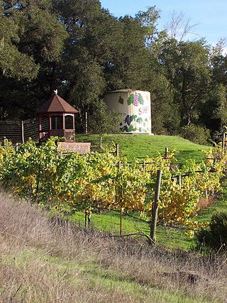 <span class="mw-page-title-main">Chalk Hill AVA</span> American Viticultural Area in Sonoma County, California
