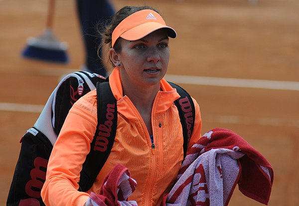 Halep in 2014