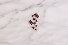 A visual comparison of the Racemosa Bean, Liberica Bean and Arabica Bean Size Comparison Racemosa Bean Liberica Bean Arabica Bean.jpg